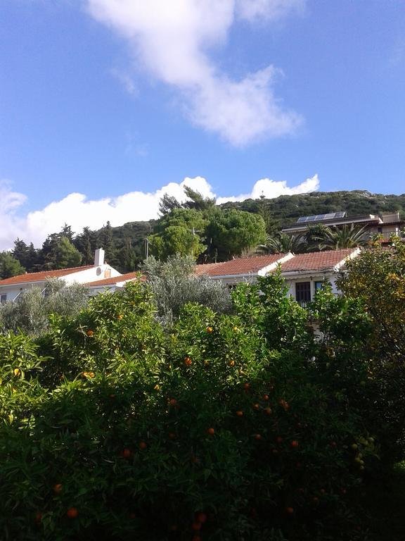 Aggelos Kefalonia Lassi ラッシ エクステリア 写真